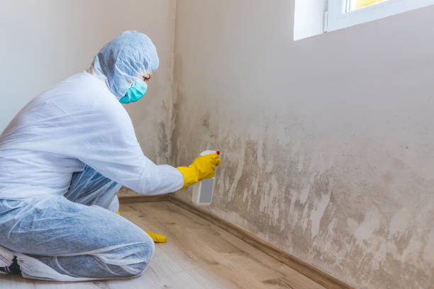 Mold Remediation specialist working in Gillette