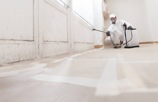 Black mold remediation team in Gillette
